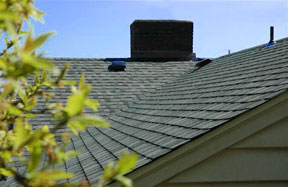 Shoreline & Edmonds roofing contractor